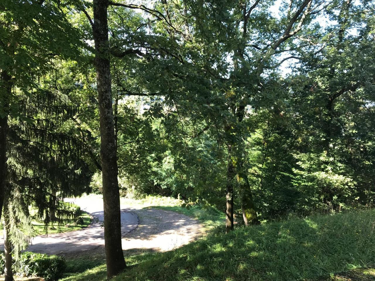 סן-ז'ירון Les Chambres Et Studios Camping Parc De Paletes מראה חיצוני תמונה